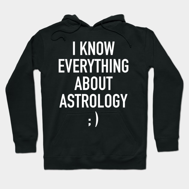 I know everything about astrology Hoodie by winwinshirt